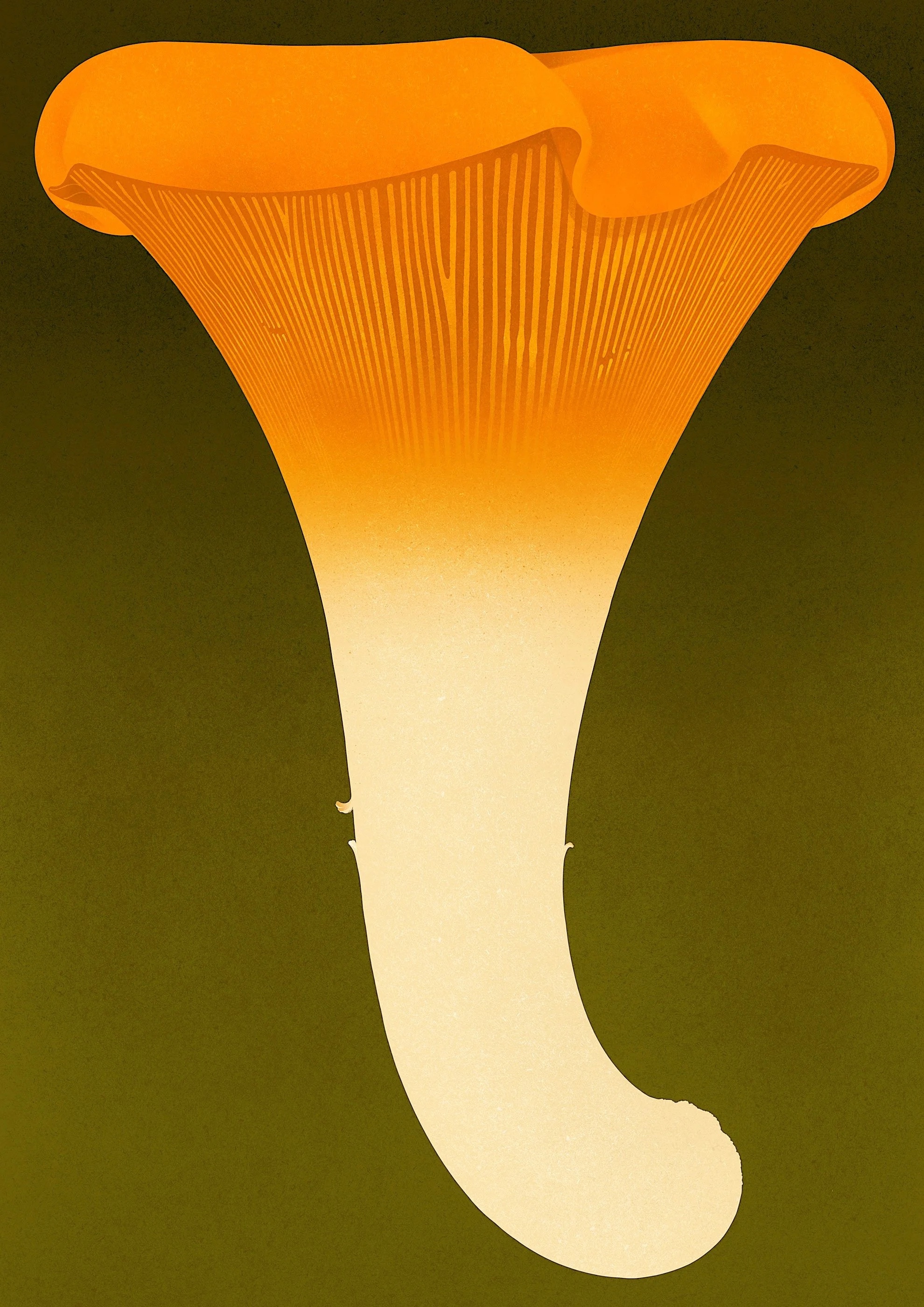 Karolis Strautniekas, Chanterelle, orange stepping to cream