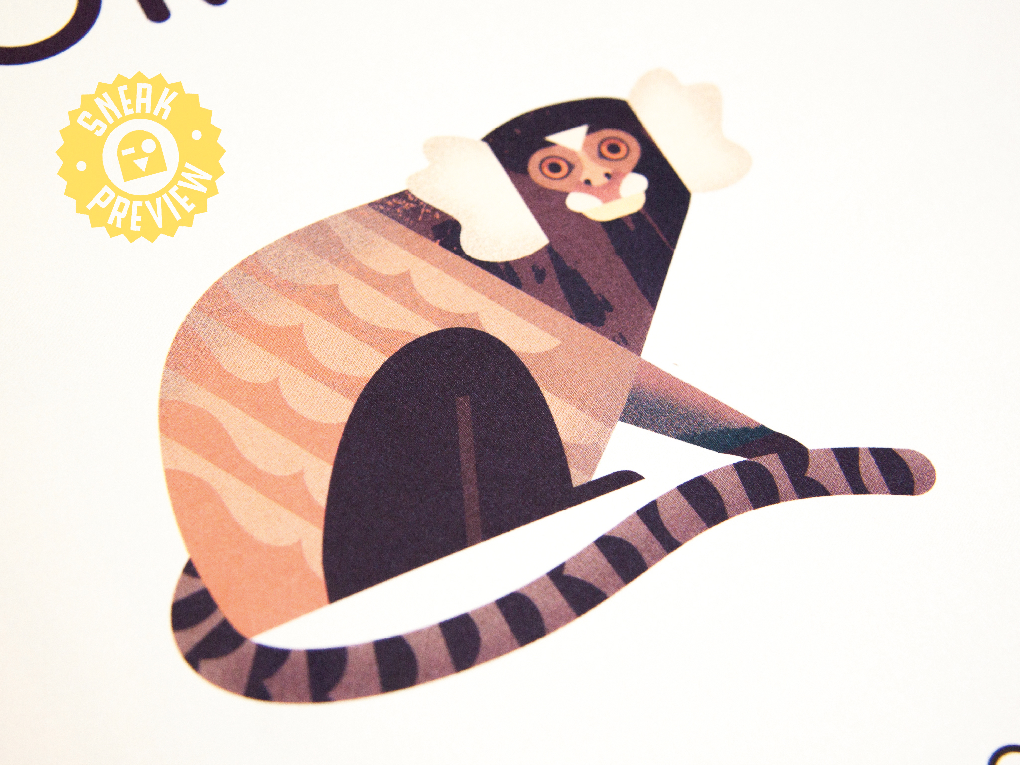 Owen Davey, Mad About Monkeys, marmoset