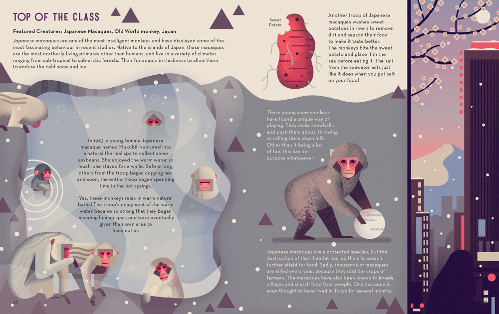 Owen Davey, Mad About Monkeys, Japanese macaques spread