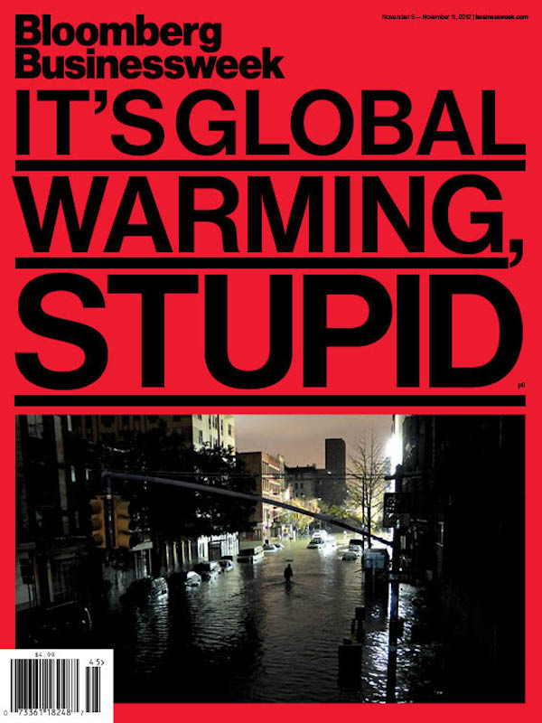 Bloomberg Businessweek, It's Global Warming, Stupid cover, November 2012